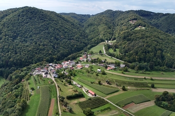 slika 1